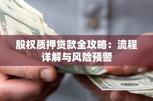 北京股权质押贷款全攻略：流程详解与风险预警