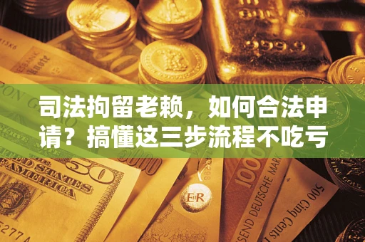北京司法拘留老赖，如何合法申请？搞懂这三步流程不吃亏！