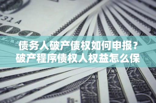 北京债务人破产债权如何申报？破产程序债权人权益怎么保障？