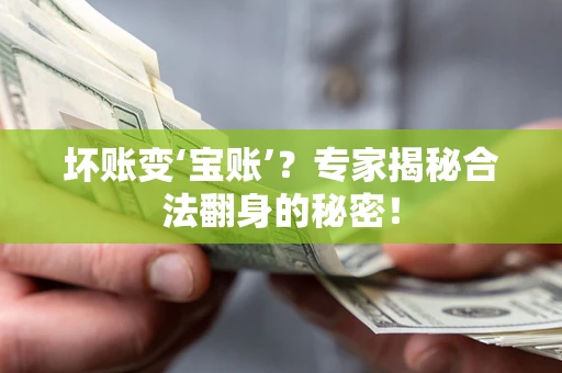 北京坏账变‘宝账’？专家揭秘合法翻身的秘密！