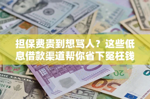 北京担保费贵到想骂人？这些低息借款渠道帮你省下冤枉钱