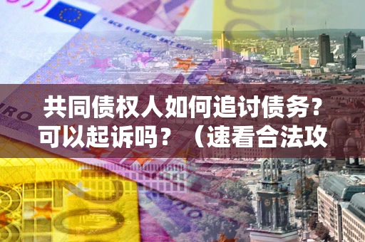 北京共同债权人如何追讨债务？可以起诉吗？（速看合法攻略）