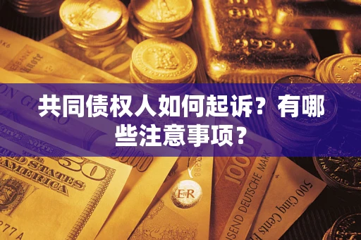 北京共同债权人如何起诉？有哪些注意事项？